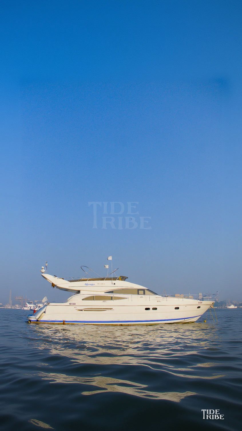Princess 61